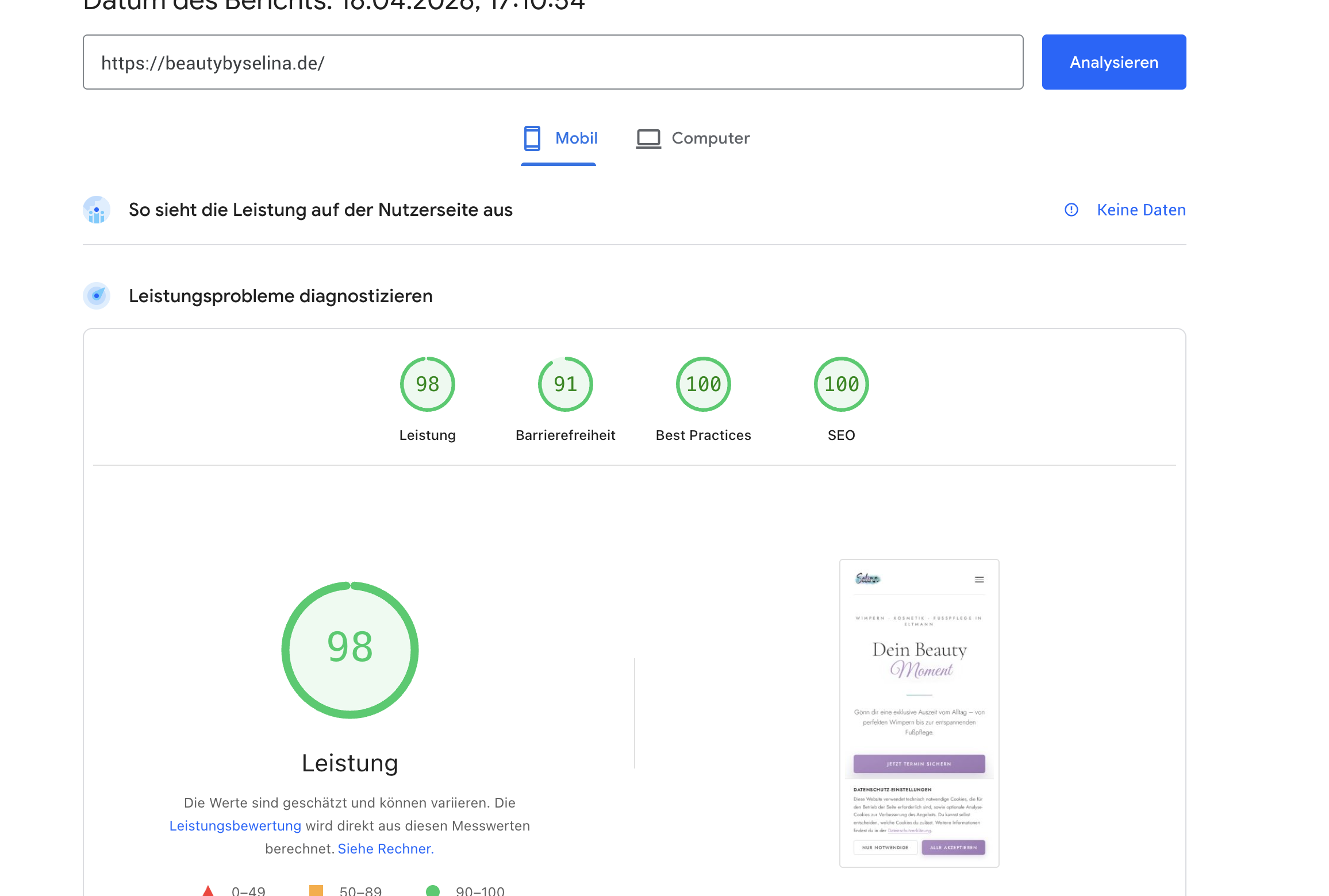 Google PageSpeed Insights Score — beautybyselina.de: 98 Performance, 91 Accessibility, 100 Best Practices, 100 SEO